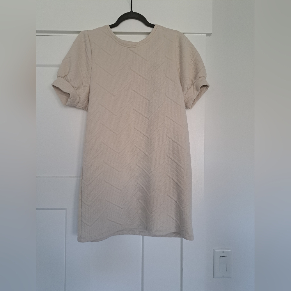 Zara Tan T-Shirt with Relaxed Fit